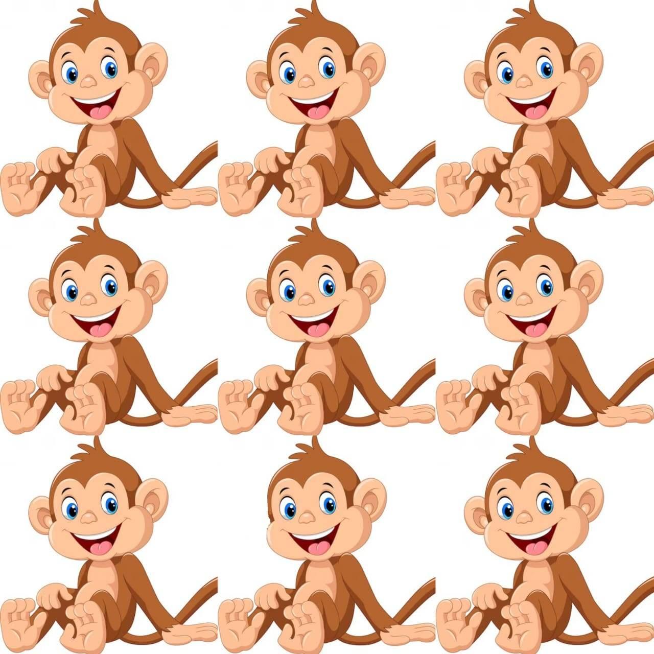 اختبار قوة الملاحظة.. أوجد القرد المختلف في الصورة خلال 20 ثانية فقط