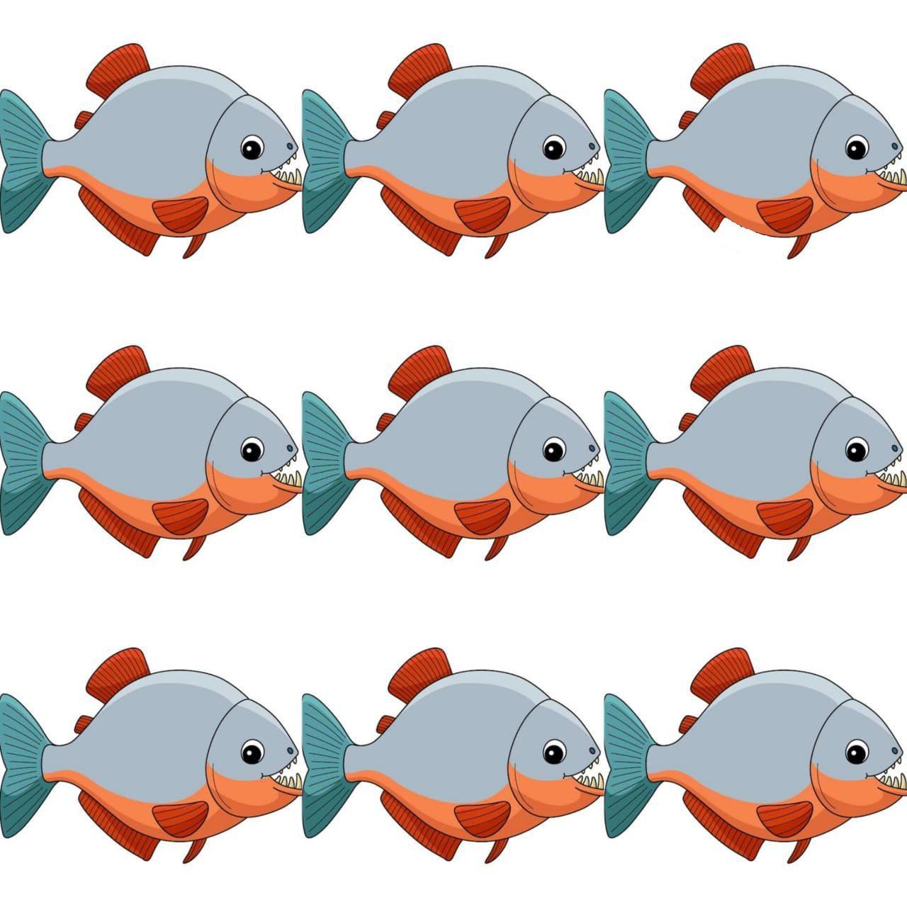 أنت قوي الملاحظة إذا تمكنت من العثور على السمكة المختلفة في الصورة خلال 20 ثانية فقط