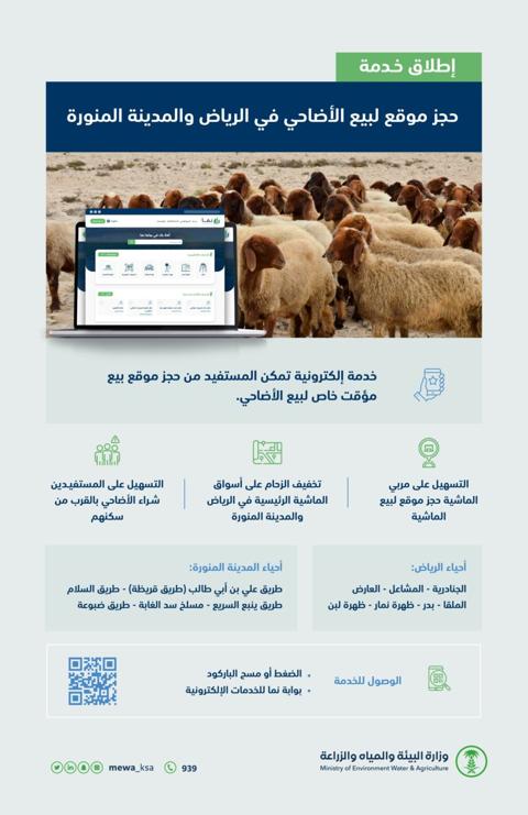 بعد إعلان البيئة عن طرح الخدمة| كيفية حجز موقع لبيع الأضاحي في الرياض والمدينة