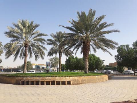 - صورة 1 - السياحة في السعودية | حديقة النهضة | مدينة الرياض